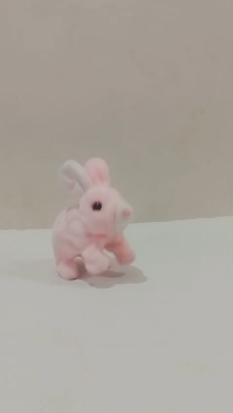 Cute Jumping Rabbit
