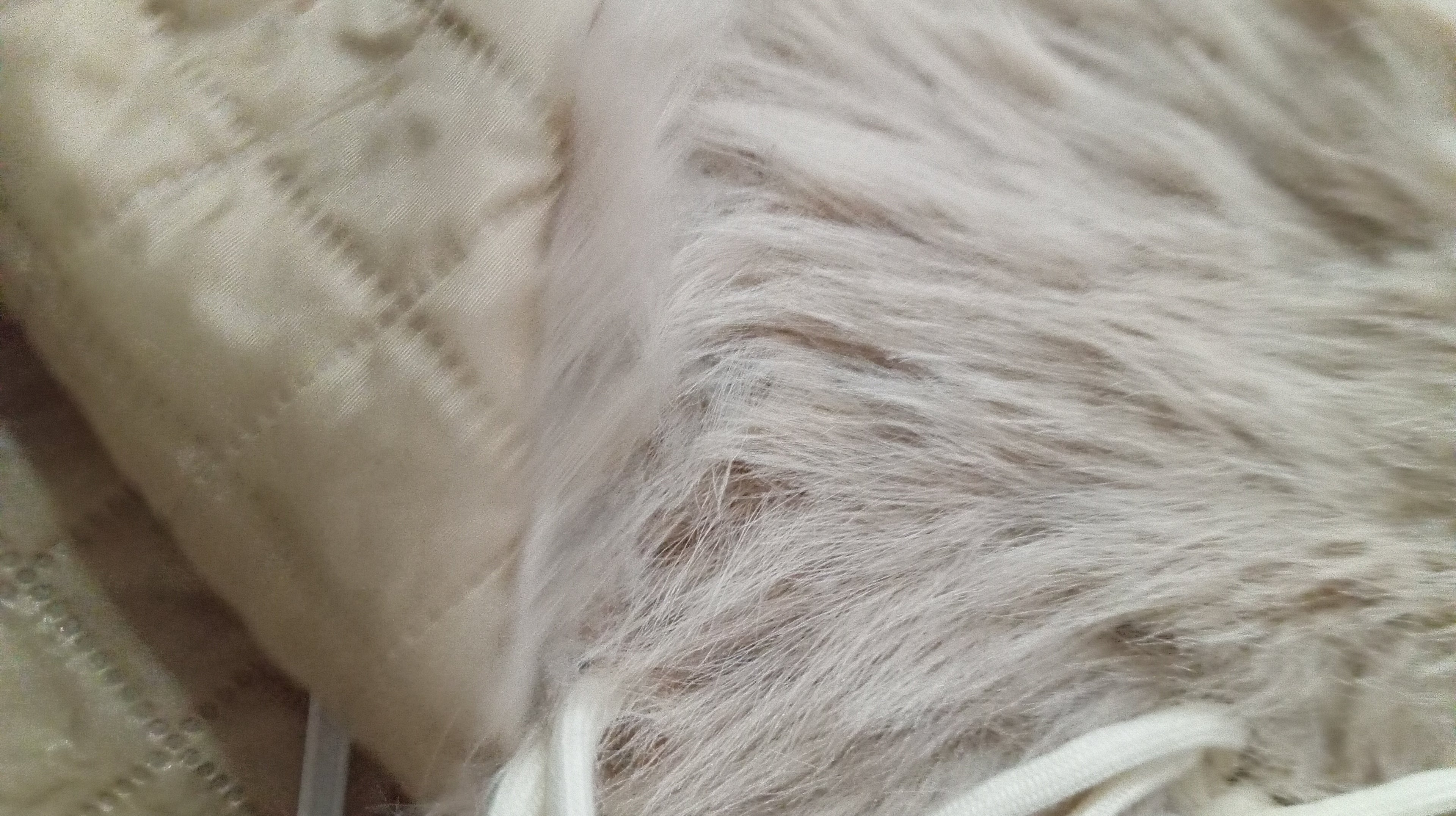 Girls furry sweater