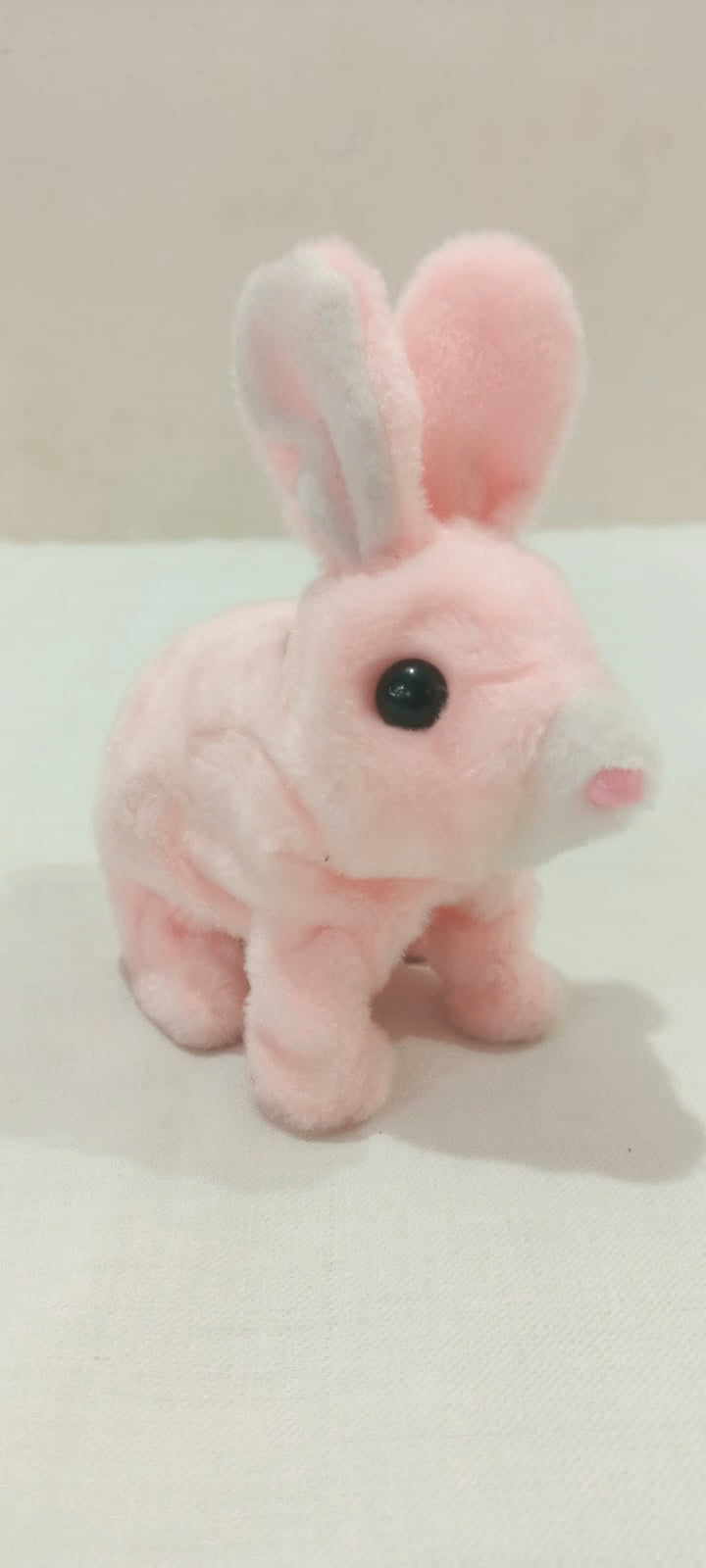 Cute Jumping Rabbit